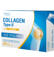 AMSEL COLLAGEN TYPE ll PLUS CURCUMIN 30