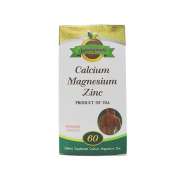 CALCIUM+MAG+ZINC 60