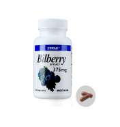 BILBERRY 375 MG 60