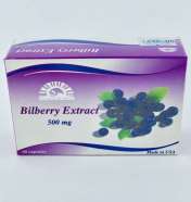 BILBERRY 500MG 60