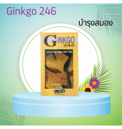 Gingko 246 (3x10cap)