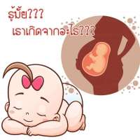 รู้ไหมว่าเราเกิดจากอะไร