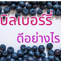 บิลเบอร์รี่-ดีอย่างไร