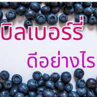 บิลเบอร์รี่-ดีอย่างไร